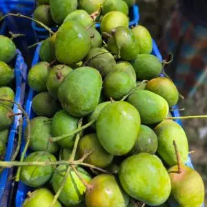 himsagor mango