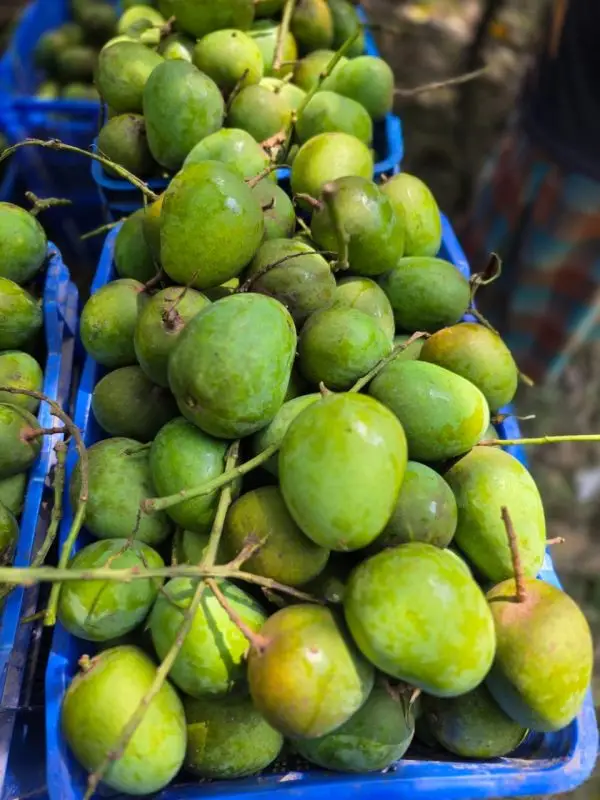 himsagor mango