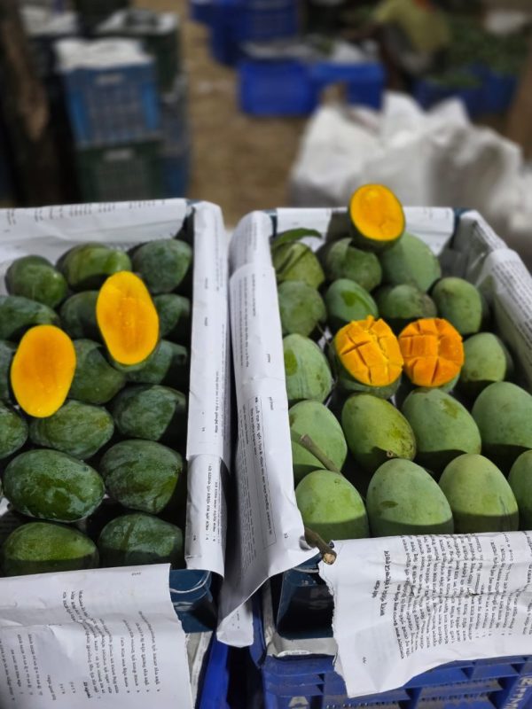হিমসাগর ১০ কেজি  + নাকফজলি ১০ কেজি + 2 কেজি ফ্রি - Image 2