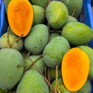 harvanga mango