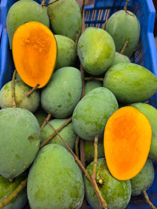harvanga mango