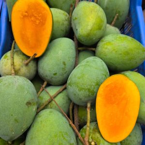 harvanga mango