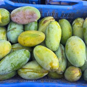 হিমসাগর ১০ কেজি  + নাকফজলি ১০ কেজি + 2 কেজি ফ্রি