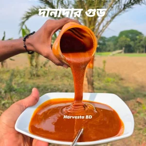 যশোরের জিরান রসের বিখ্যাত মরিচা/দানাদার গুড়